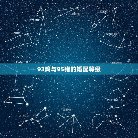93鸡与95猪的婚配等级，93年属鸡的男生和95年属猪的女生配吗？