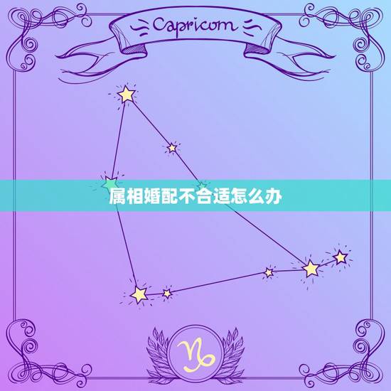 属相婚配不合适怎么办,十二生肖婚配宜忌,最佳配对及生肖不合应该如何 属相婚配不合适怎么办,十二生肖婚配宜忌,最佳配对及生肖不合应该如何