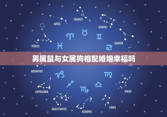 男属鼠与女属狗相配婚姻幸福吗，属狗的跟属鼠的合不合
