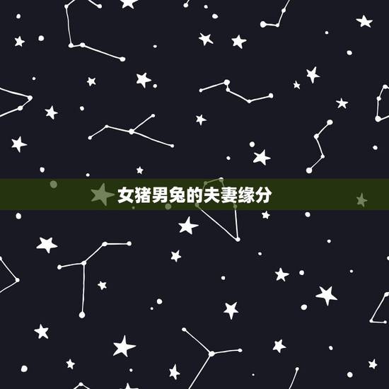 女猪男兔的夫妻缘分，猪女和兔男合不合