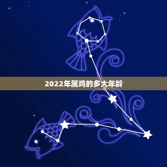 2022年属鸡的多大年龄,2022年属马的多大年龄 2022年属鸡的多大年龄,2022年属马的多大年龄