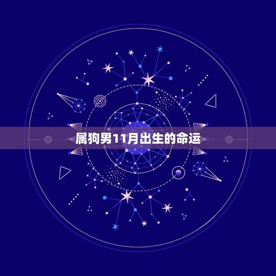 属狗男11月出生的命运，十一月属狗的什么命