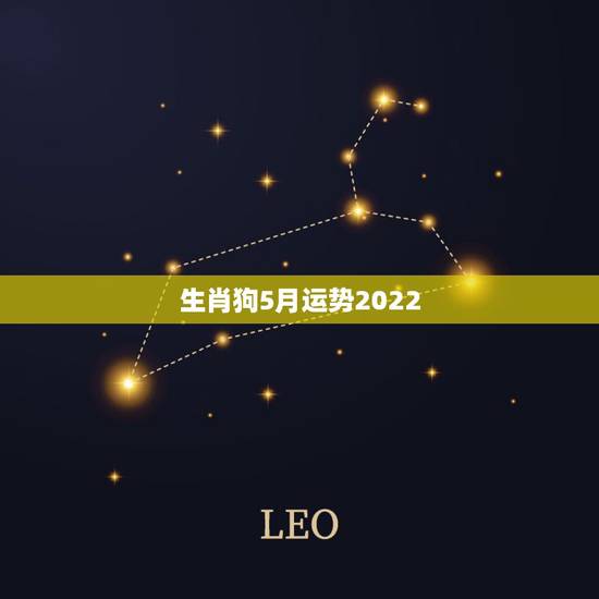 生肖狗5月运势2022，属狗人未来三年运势