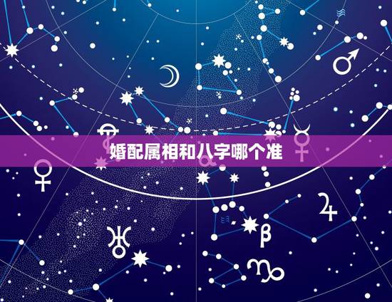 婚配属相和八字哪个准,婚配中属相与八字哪个影响更重要 婚配属相和八字哪个准,婚配中属相与八字哪个影响更重要