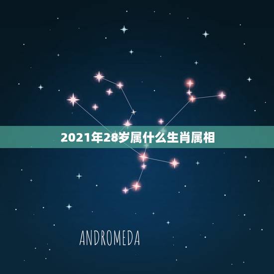 2021年28岁属什么生肖属相,今年28岁的虚岁的属什么生肖? 2021年28岁属什么生肖属相,今年28岁的虚岁的属什么生肖?