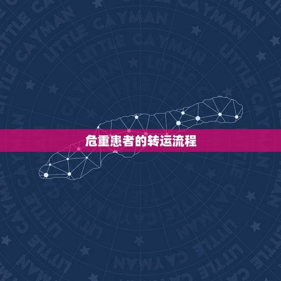 危重患者的转运流程,急危重症病人抢救流程图 危重患者的转运流程,急危重症病人抢救流程图