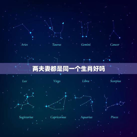 两夫妻都是同一个生肖好吗，两个人在一起属相真的重要吗