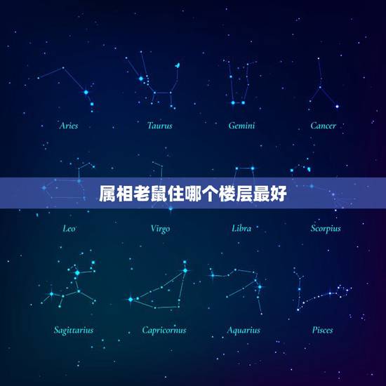 属相老鼠住哪个楼层最好，属鼠的住几楼最好？