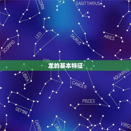 龙的基本特征
