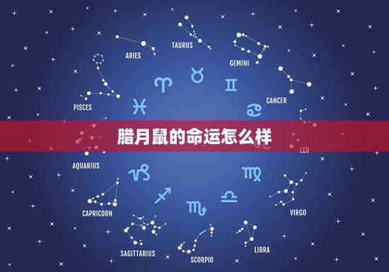 腊月鼠的命运怎么样,2022 年属鼠腊月出生好吗 腊月鼠的命运怎么样,2022 年属鼠腊月出生好吗
