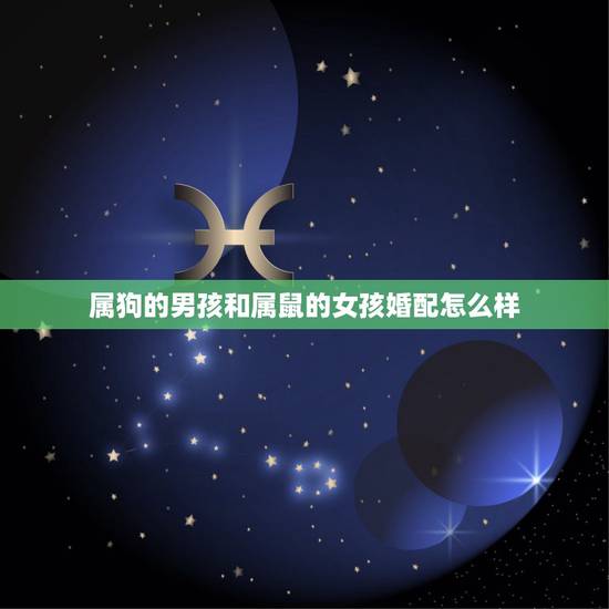 属狗的男孩和属鼠的女孩婚配怎么样,男属狗和女属鼠相配婚姻如何 属狗的男孩和属鼠的女孩婚配怎么样,男属狗和女属鼠相配婚姻如何