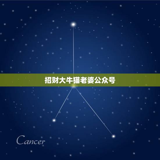 招财大牛猫老婆公众号，财经类的微信公众号？