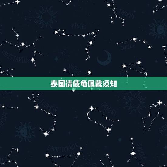 泰国清债龟佩戴须知,清债龟可以给别人碰吗? 泰国清债龟佩戴须知,清债龟可以给别人碰吗?