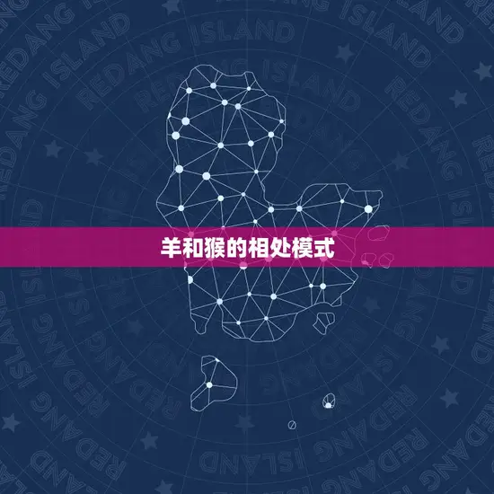 羊和猴的相处模式