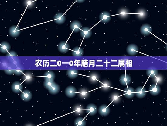 农历二0一0年腊月二十二属相，2009年阴历腊月二十二出生的孩子属相是