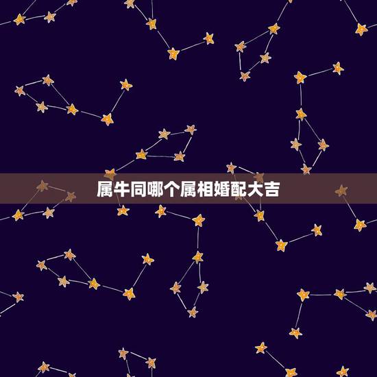 属牛同哪个属相婚配大吉,属牛的属相婚配表 属牛同哪个属相婚配大吉,属牛的属相婚配表