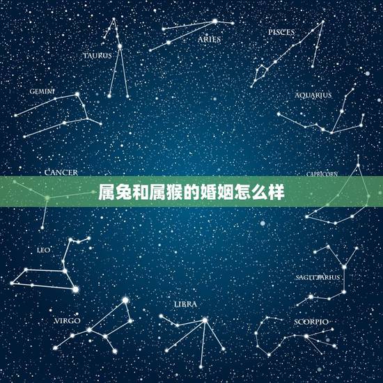 属兔和属猴的婚姻怎么样，87女兔和92男猴婚配吗