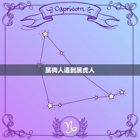 属狗人遇到属虎人,属狗的人和属虎的人在哪一年离婚 属狗人遇到属虎人,属狗的人和属虎的人在哪一年离婚
