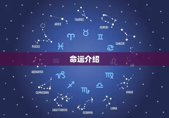 命运介绍 命运介绍