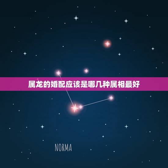 属龙的婚配应该是哪几种属相最好,属龙的男生和哪几个属相婚姻是最好的? 属龙的婚配应该是哪几种属相最好,属龙的男生和哪几个属相婚姻是最好的?