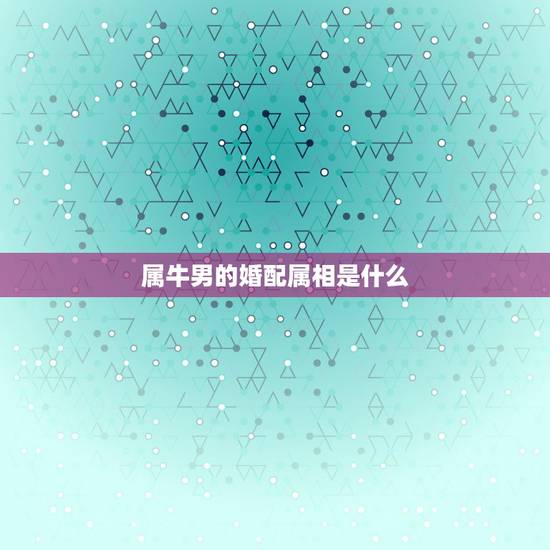 属牛男的婚配属相是什么,1997属牛男和什么属相婚配合适 属牛男的婚配属相是什么,1997属牛男和什么属相婚配合适