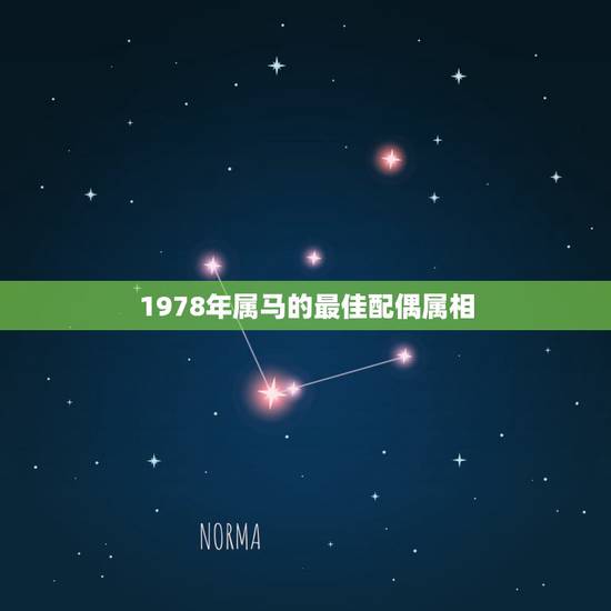 1978年属马的最佳配偶属相,属马的最佳配偶 ?属马的命运性格? 属马 1978年属马的最佳配偶属相,属马的最佳配偶 ?属马的命运性格? 属马
