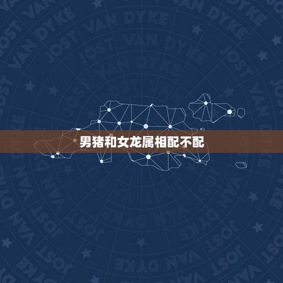 男猪和女龙属相配不配，属羊和属猪相配吗