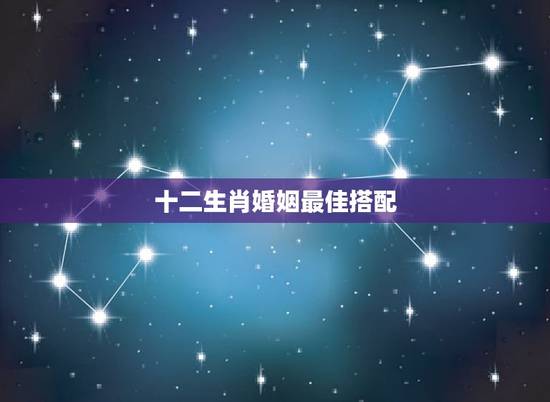 十二生肖婚姻最佳搭配，属蛇和什么属相最配 属蛇的最佳配偶