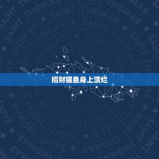 招财猫鱼身上溃烂，招财猫鱼鱼鳍为什么发烂身体发白？