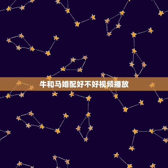 牛和马婚配好不好视频播放，属牛和属马的相配吗