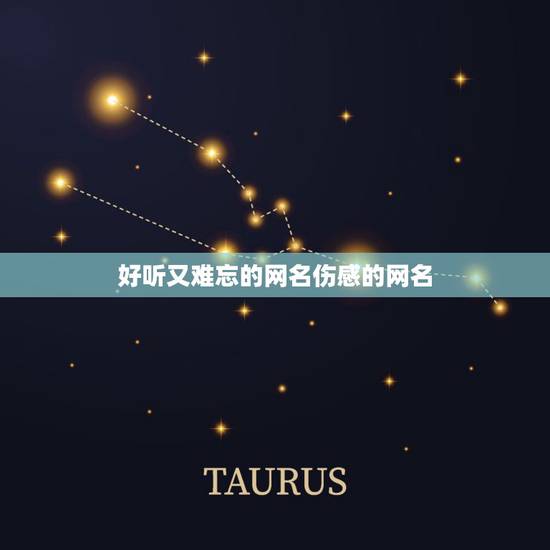 好听又难忘的网名伤感的网名 让对方看到心疼的网名