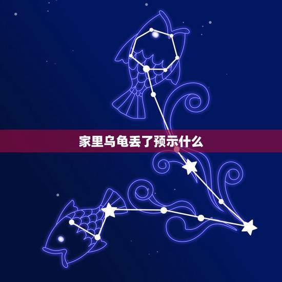 家里乌龟丢了预示什么,我家小乌龟丢了,怎么办?他会去哪? 家里乌龟丢了预示什么,我家小乌龟丢了,怎么办?他会去哪?