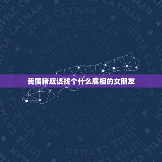 我属猪应该找个什么属相的女朋友，我是1982属狗的适合找什么属相和性格