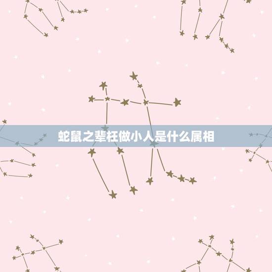 蛇鼠之辈枉做小人是什么属相，属鼠的和什么属相不能共事
