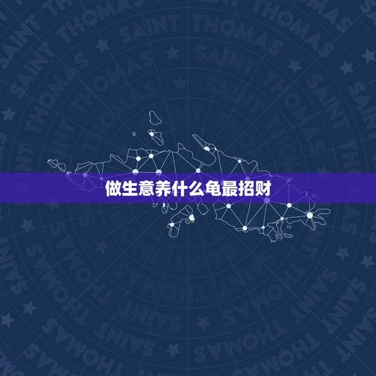 做生意养什么龟最招财，养什么龟主财