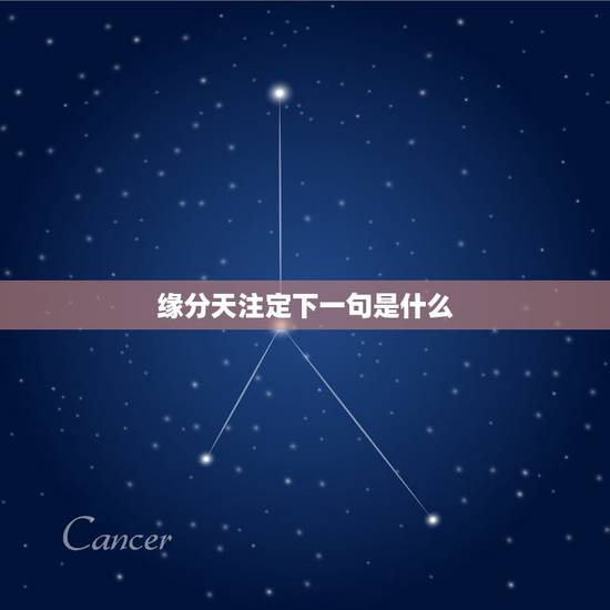 缘分天注定下一句是什么，缘分天注定句子