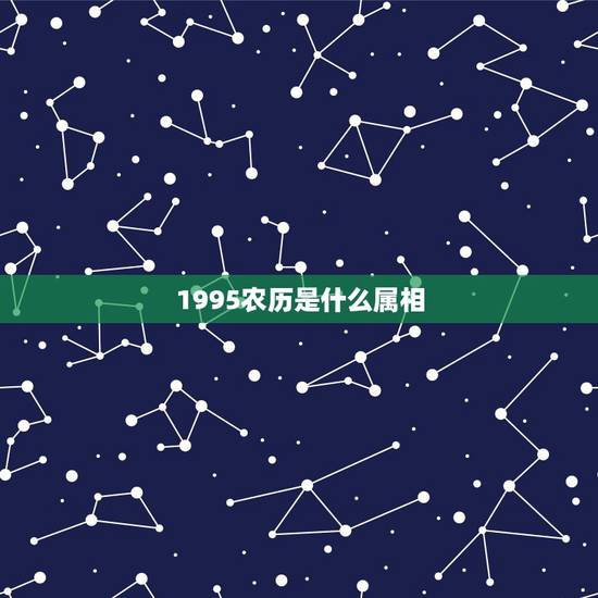 1995农历是什么属相,1995年7月出生的是什么属相 1995农历是什么属相,1995年7月出生的是什么属相