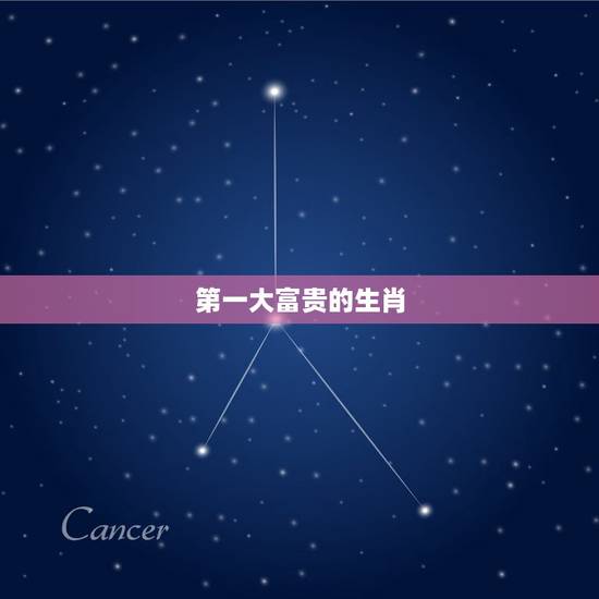 第一大富贵的生肖，天生财运旺赚钱能力强，轻松就能拥有大富贵的四大生肖，