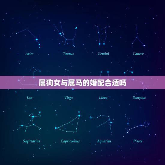 属狗女与属马的婚配合适吗，属马男和属狗女相配吗