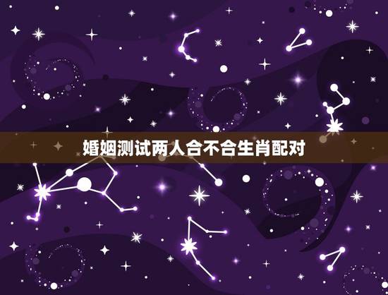 婚姻测试两人合不合生肖配对，十二生肖更佳配对表格