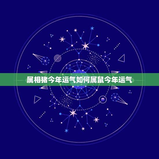 属相猪今年运气如何属鼠今年运气,属鼠2019运气 属相猪今年运气如何属鼠今年运气,属鼠2019运气