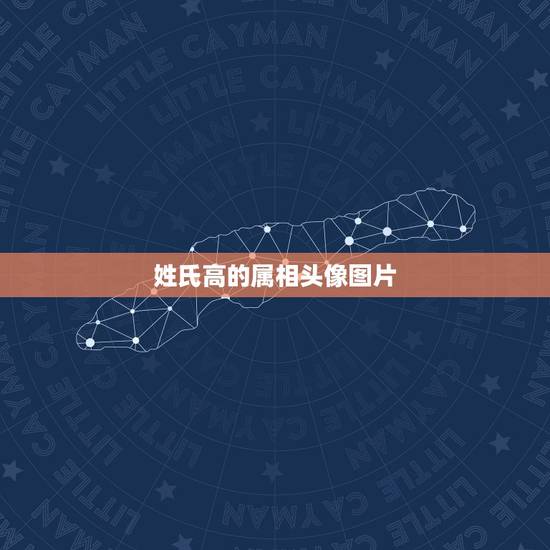 姓氏高的属相头像图片,姓氏头像姓氏头像程和张 姓氏高的属相头像图片,姓氏头像姓氏头像程和张