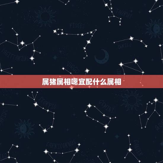 属猪属相嗯宜配什么属相,属猪配什么属相最合适 属猪属相嗯宜配什么属相,属猪配什么属相最合适