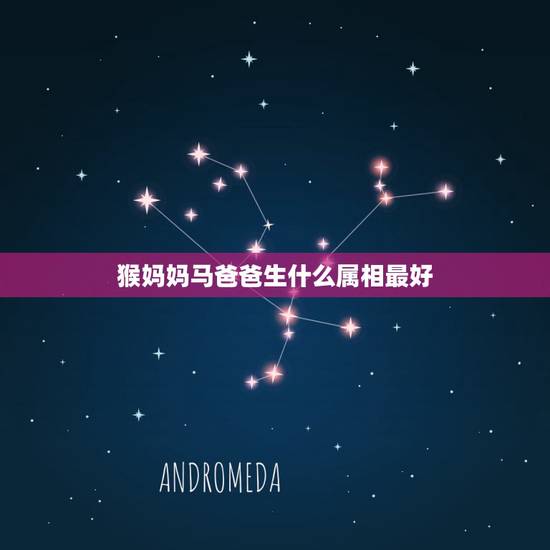 猴妈妈马爸爸生什么属相最好,爸爸属马,妈妈属猴,已有个属鼠的儿子,现在 猴妈妈马爸爸生什么属相最好,爸爸属马,妈妈属猴,已有个属鼠的儿子,现在