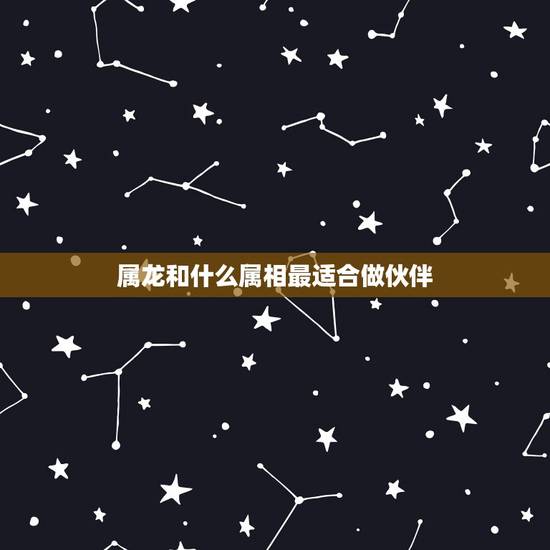 属龙和什么属相最适合做伙伴，属龙的和什么属相最配