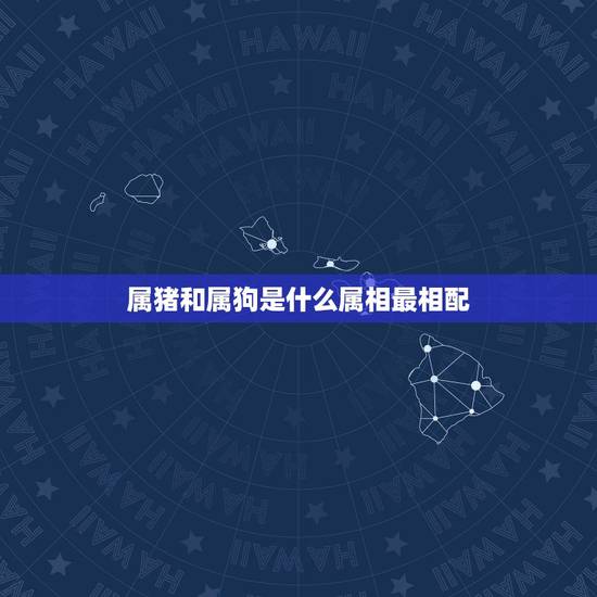 属猪和属狗是什么属相最相配，属猪和属狗的能相配吗？