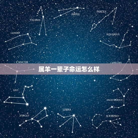 属羊一辈子命运怎么样，属羊人的贵人属相