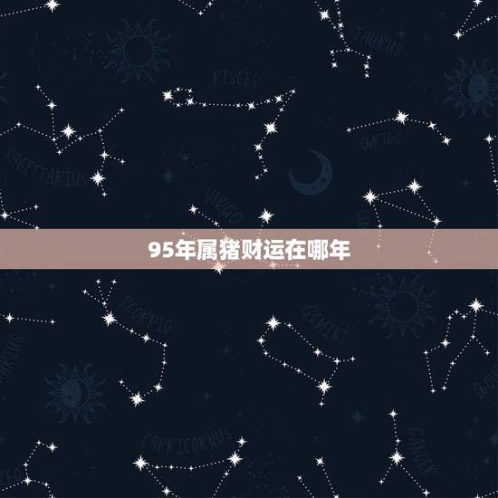 95年属猪财运在哪年,1995年出生的财运 95年属猪财运在哪年,1995年出生的财运
