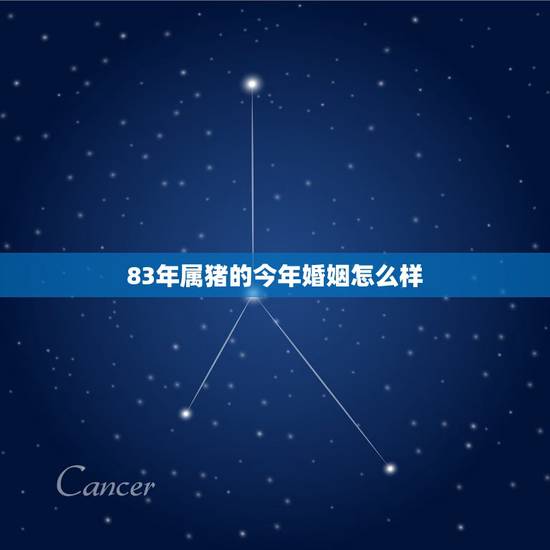 83年属猪的今年婚姻怎么样,83年属猪女人的一生有几段婚姻 83年属猪的今年婚姻怎么样,83年属猪女人的一生有几段婚姻