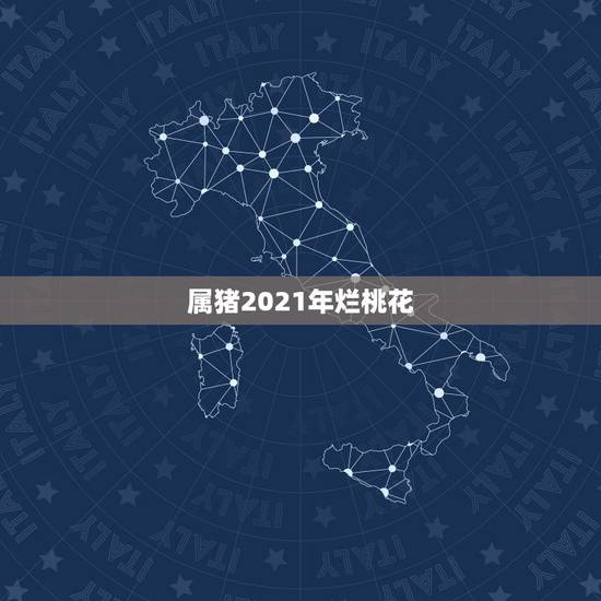 属猪2021年烂桃花，2021属猪年桃花贵人